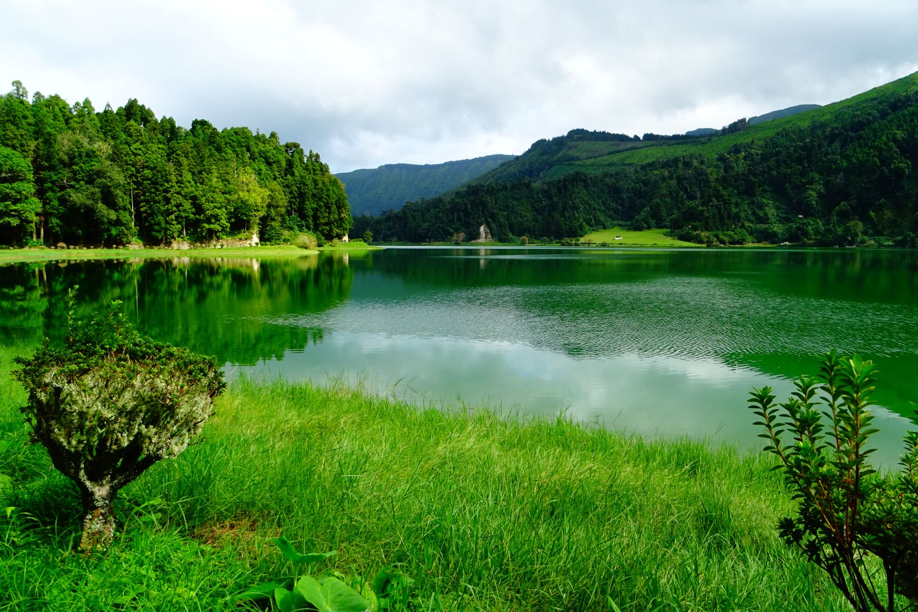 Senderismo en las Azores. Isla de São Miguel