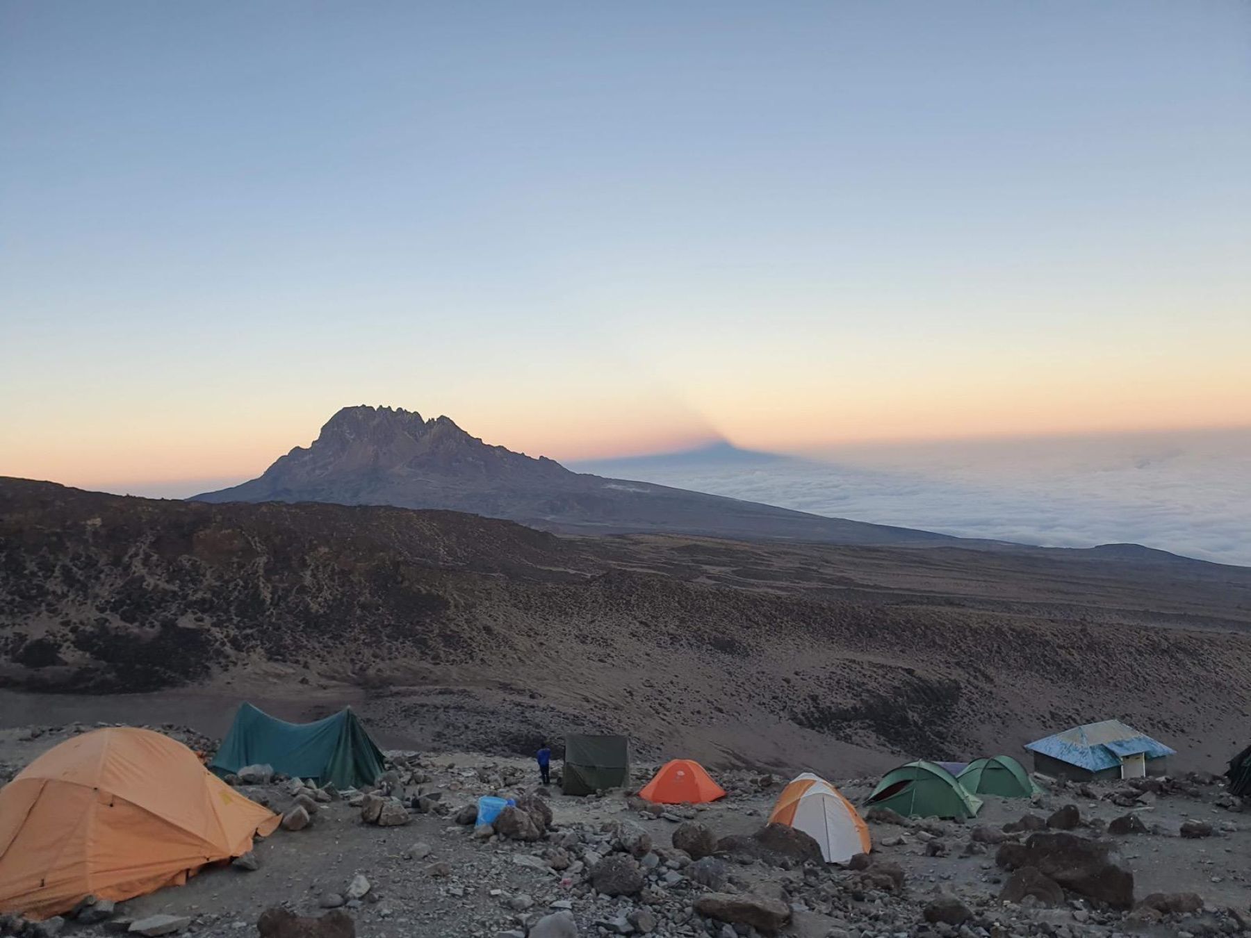 Kilimanjaro