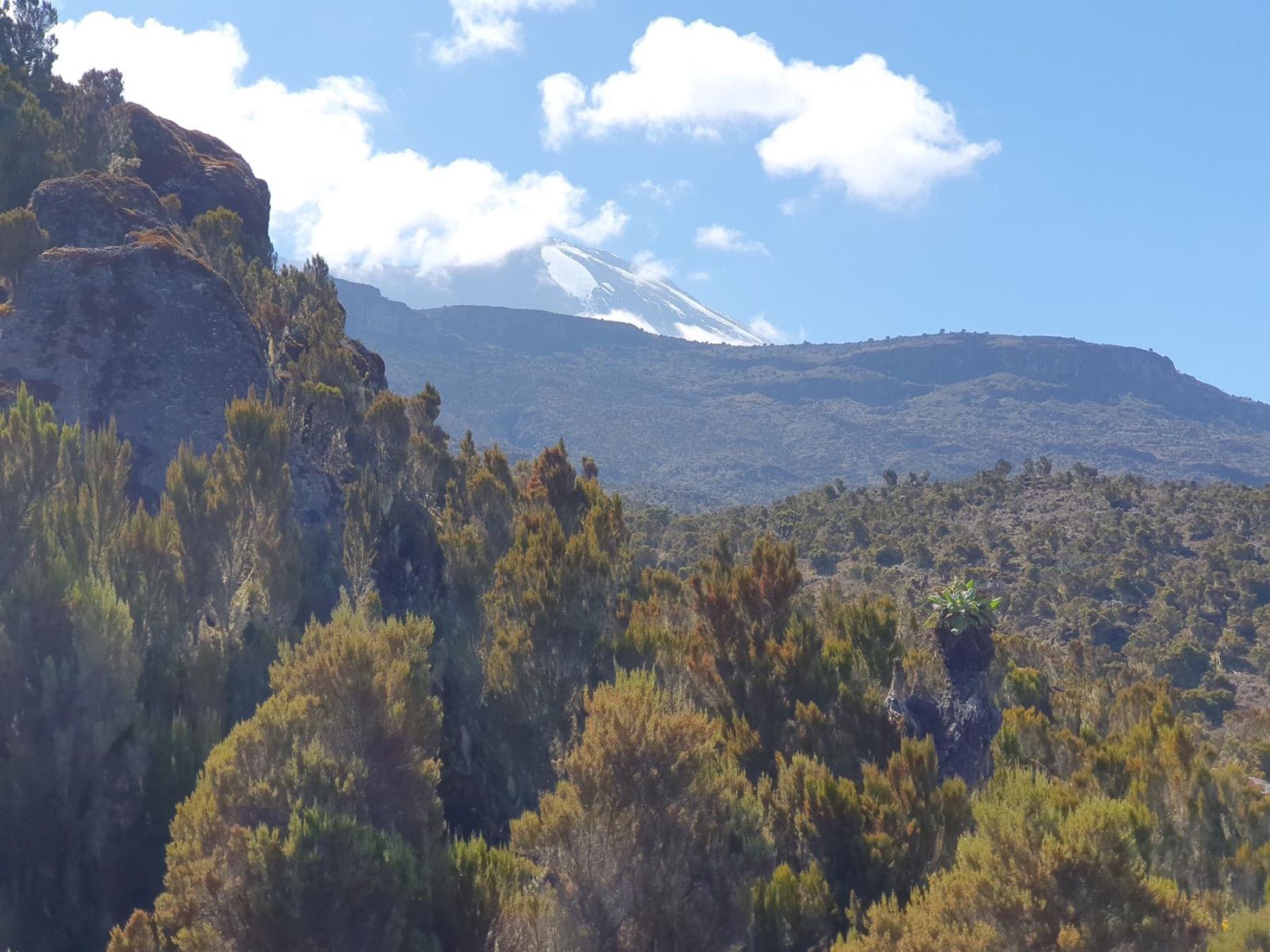 Ascenso al Kilimanjaro. Ruta Machame. Tanzania