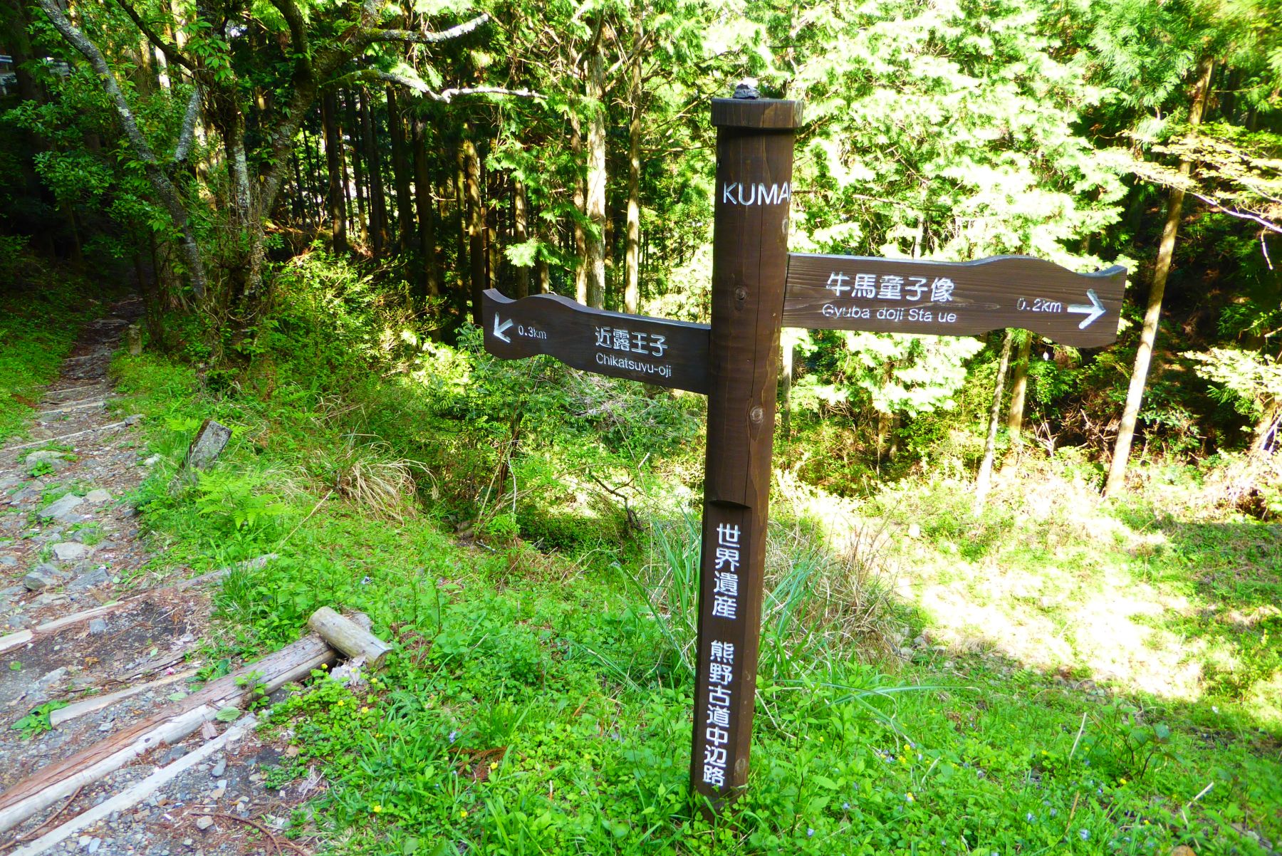 Japón. Camino de Kumano Kôdo. Senderismo y Cultura.