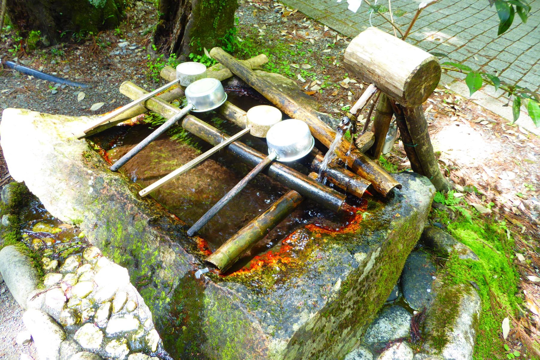 Japón. Camino de Kumano Kôdo. Senderismo y Cultura.