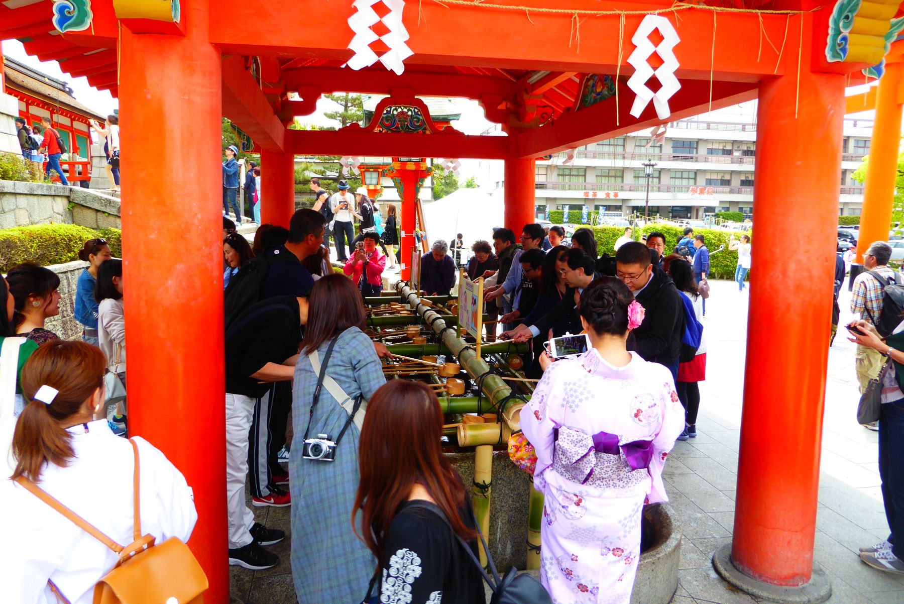 Japón. Camino de Kumano Kôdo. Senderismo y Cultura.