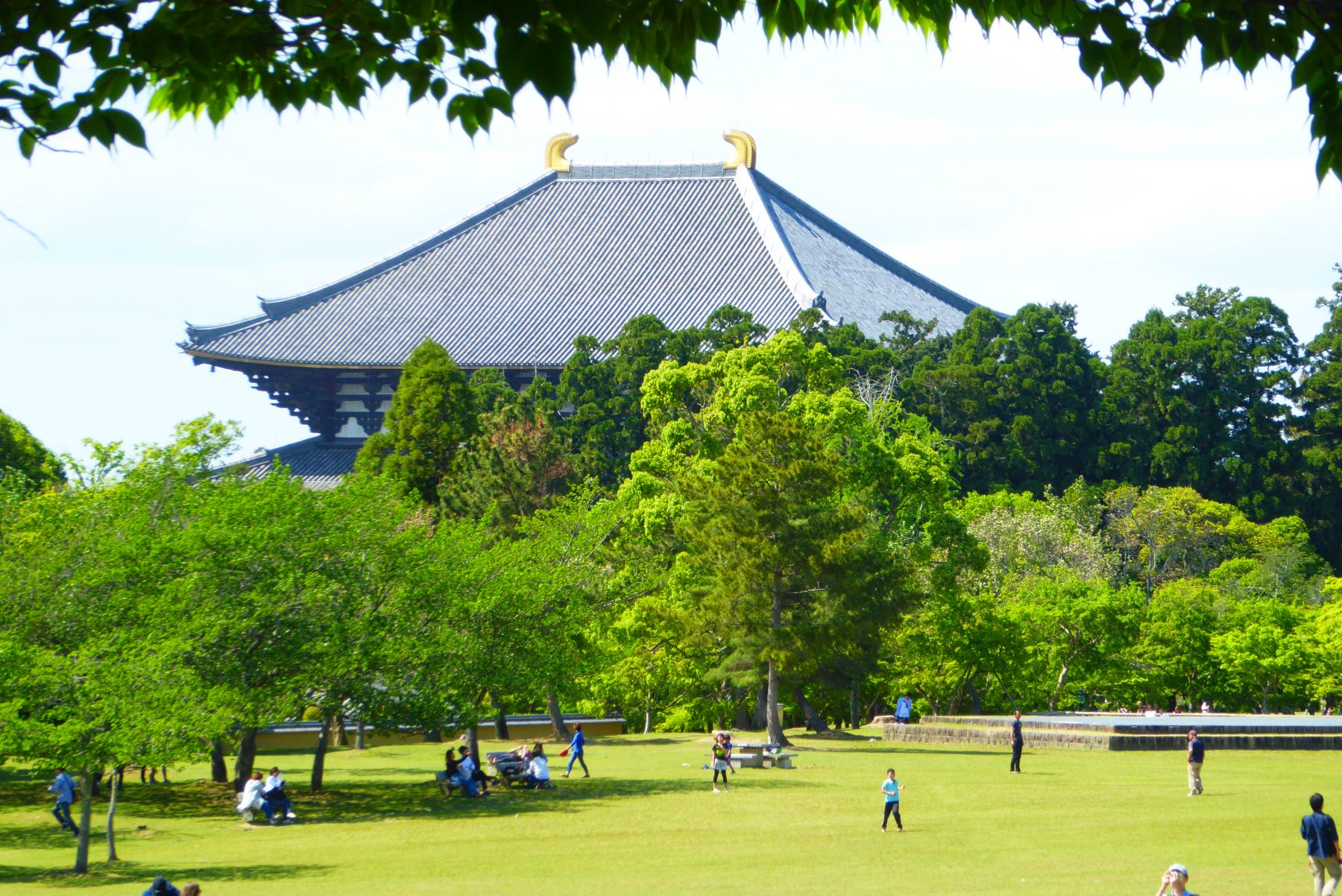 Japón. Camino de Kumano Kôdo. Senderismo y Cultura.
