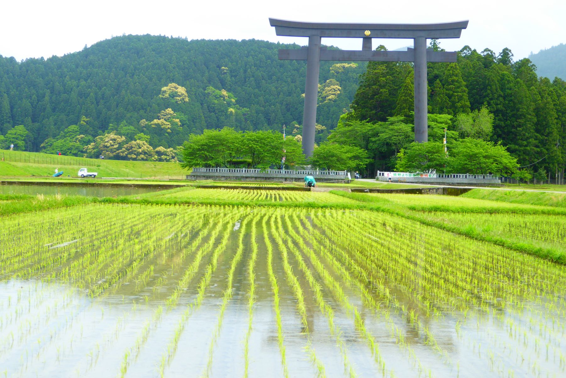 Japón. Camino de Kumano Kôdo. Senderismo y Cultura.