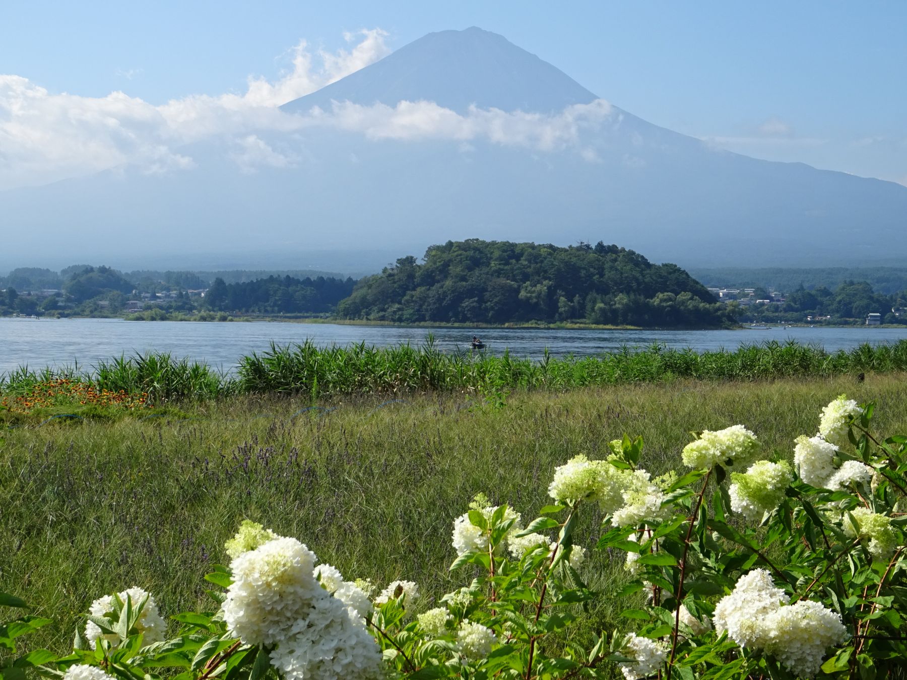 Japón. Camino de Kumano Kôdo. Senderismo y Cultura.