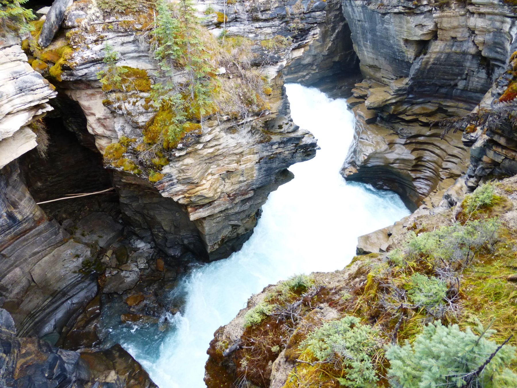 Rocosas canadienses, colores de otoño. Senderismo y trekking en Banff, Yoho y Jasper