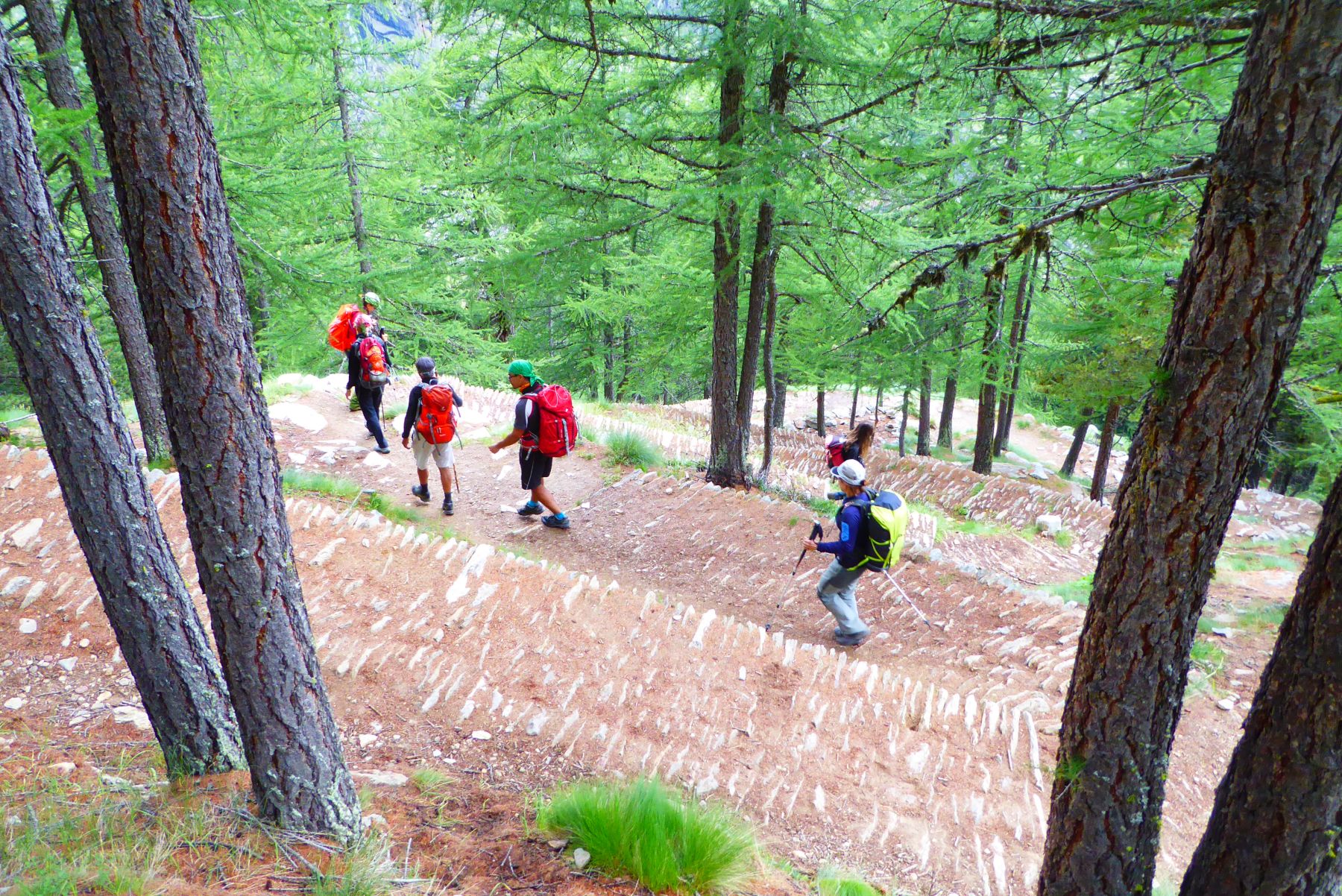 Gran Paradiso. Trekking por los Alpes más salvajes