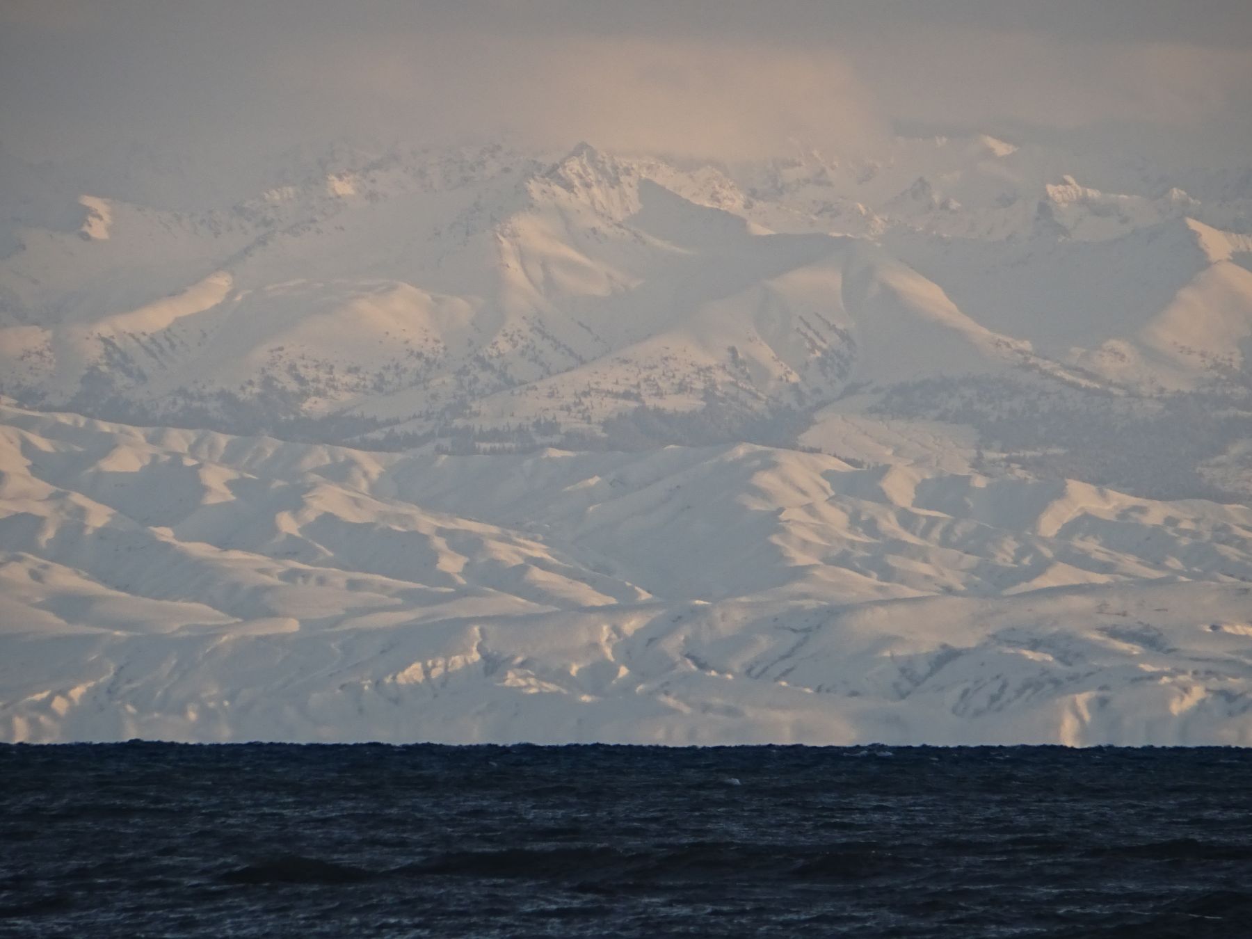 El territorio fantasma. El leopardo de las nieves. Kirguistán