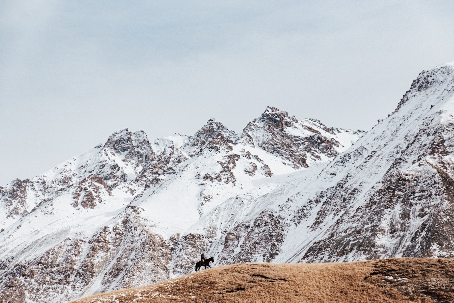 El territorio fantasma. El leopardo de las nieves. Kirguistán