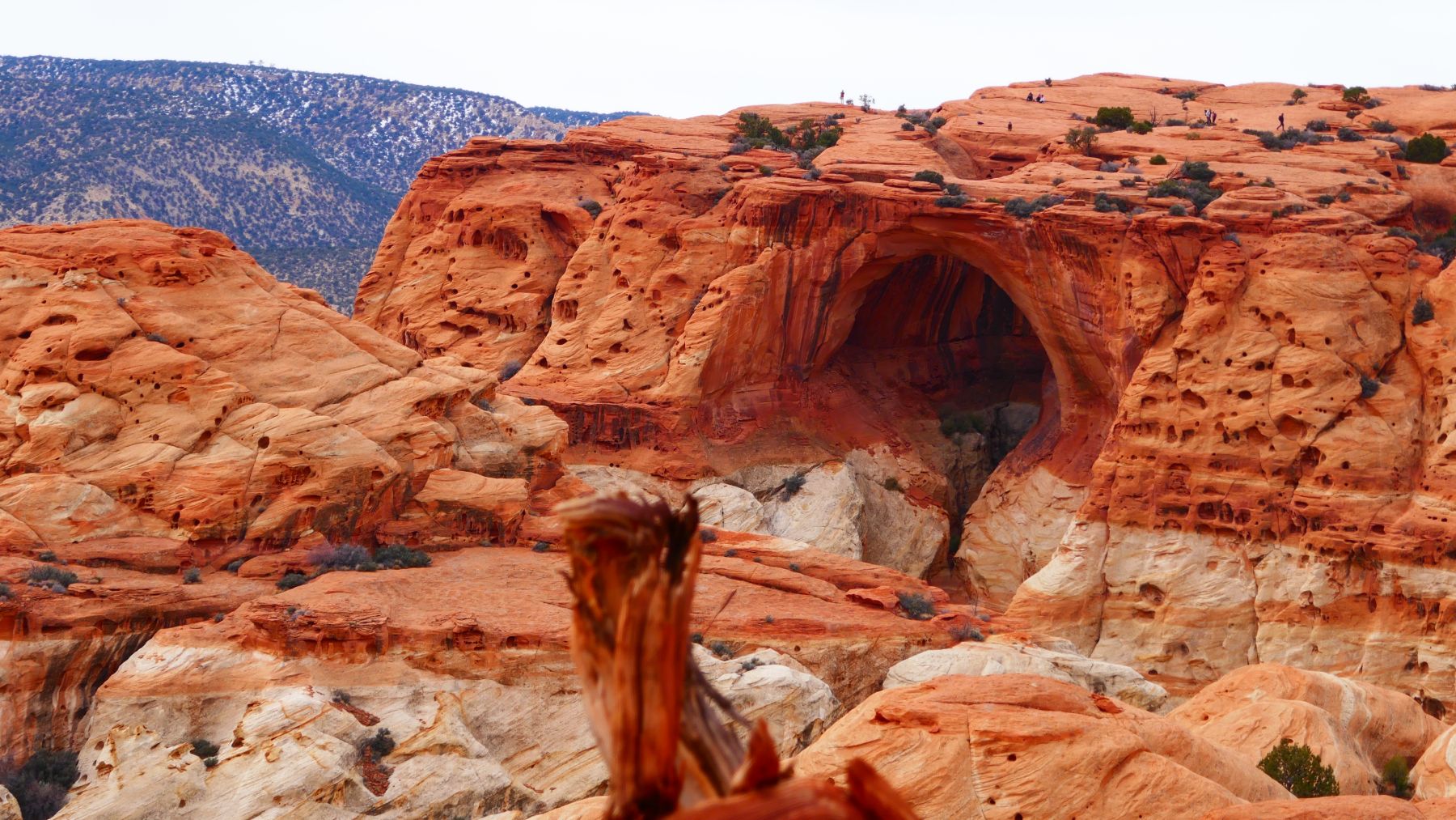 Trekking en Yosemite y otros parques nacionales del oeste de EE.UU