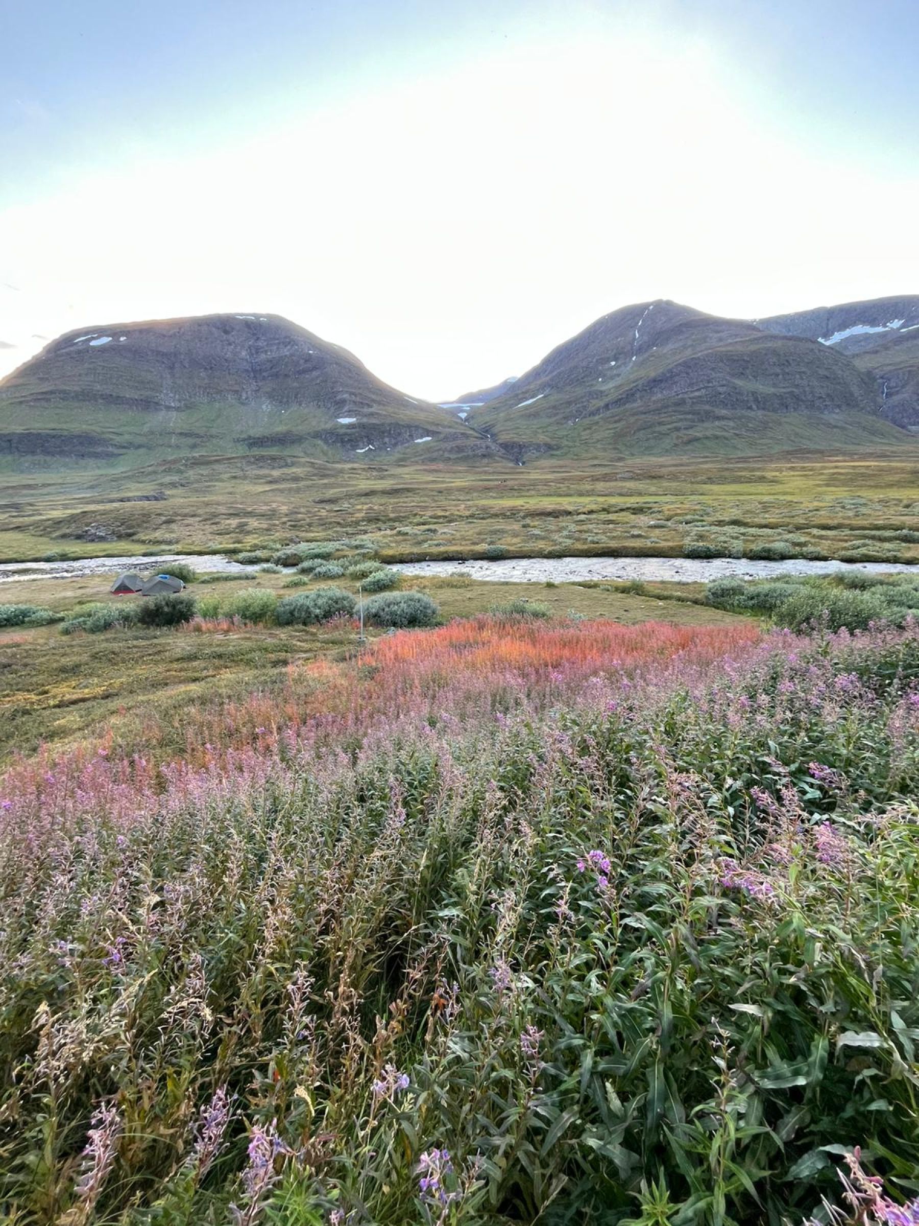 Trekking del Kungsleden. El Camino del Rey. Suecia