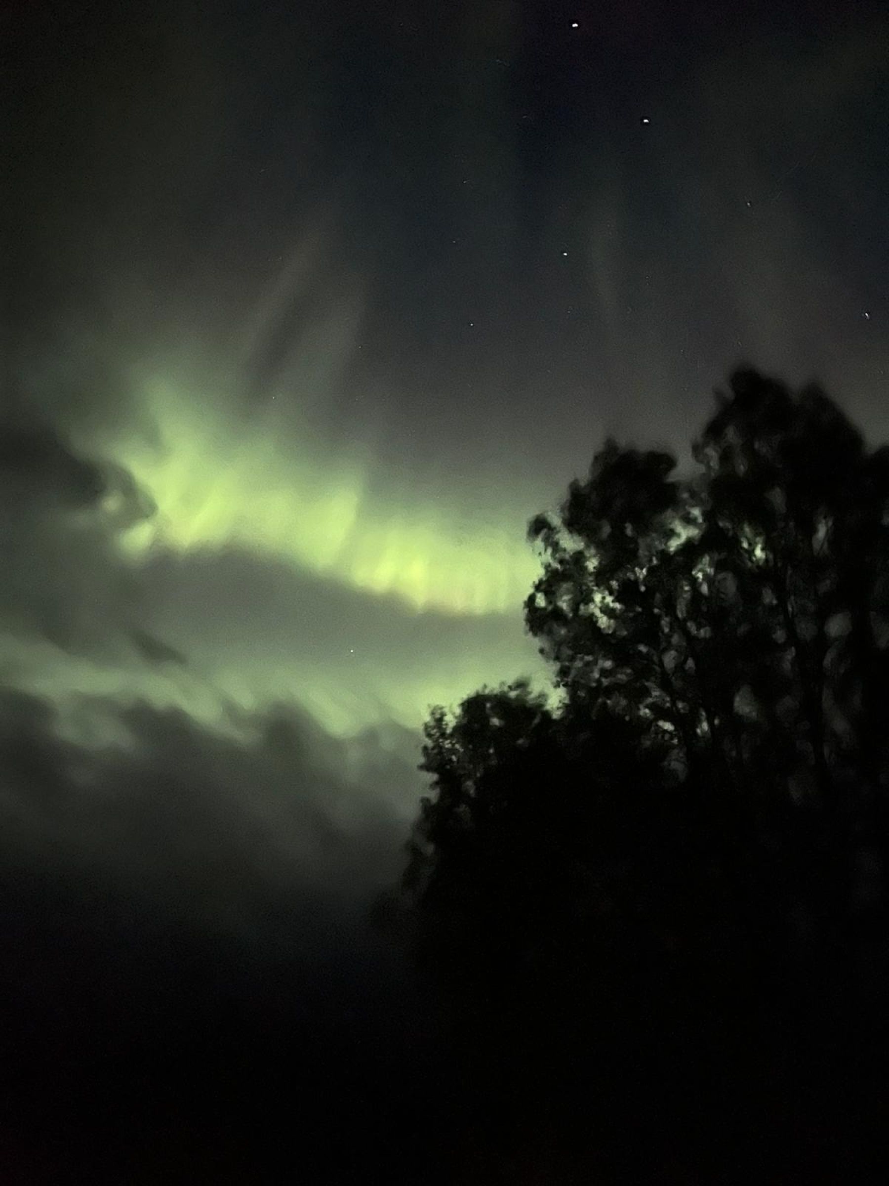 Trekking del Kungsdelen. El Camino del Rey. Suecia
