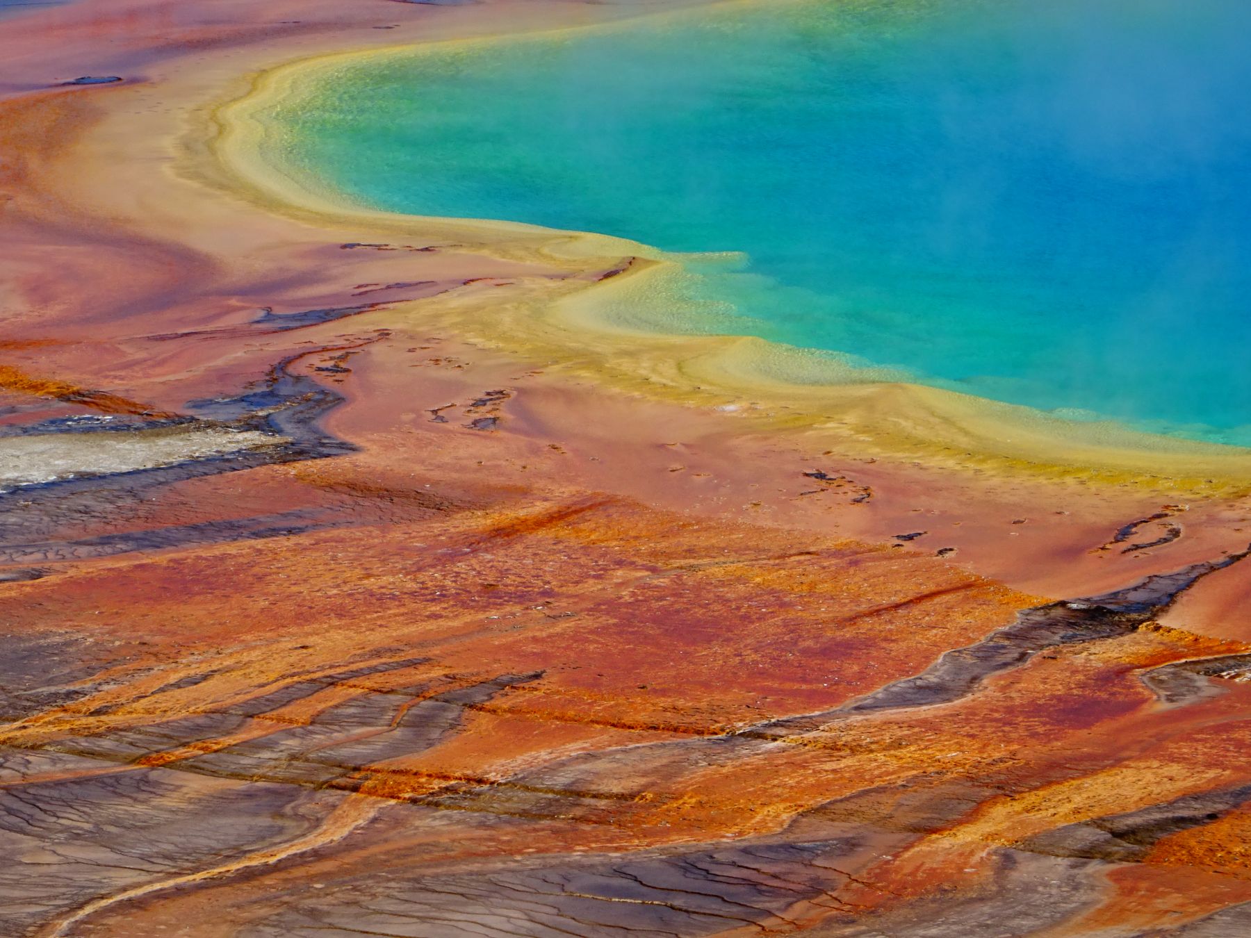 Trekking en los parques nacionales de Yellowstone, Glacier y Grand Teton. EEUU