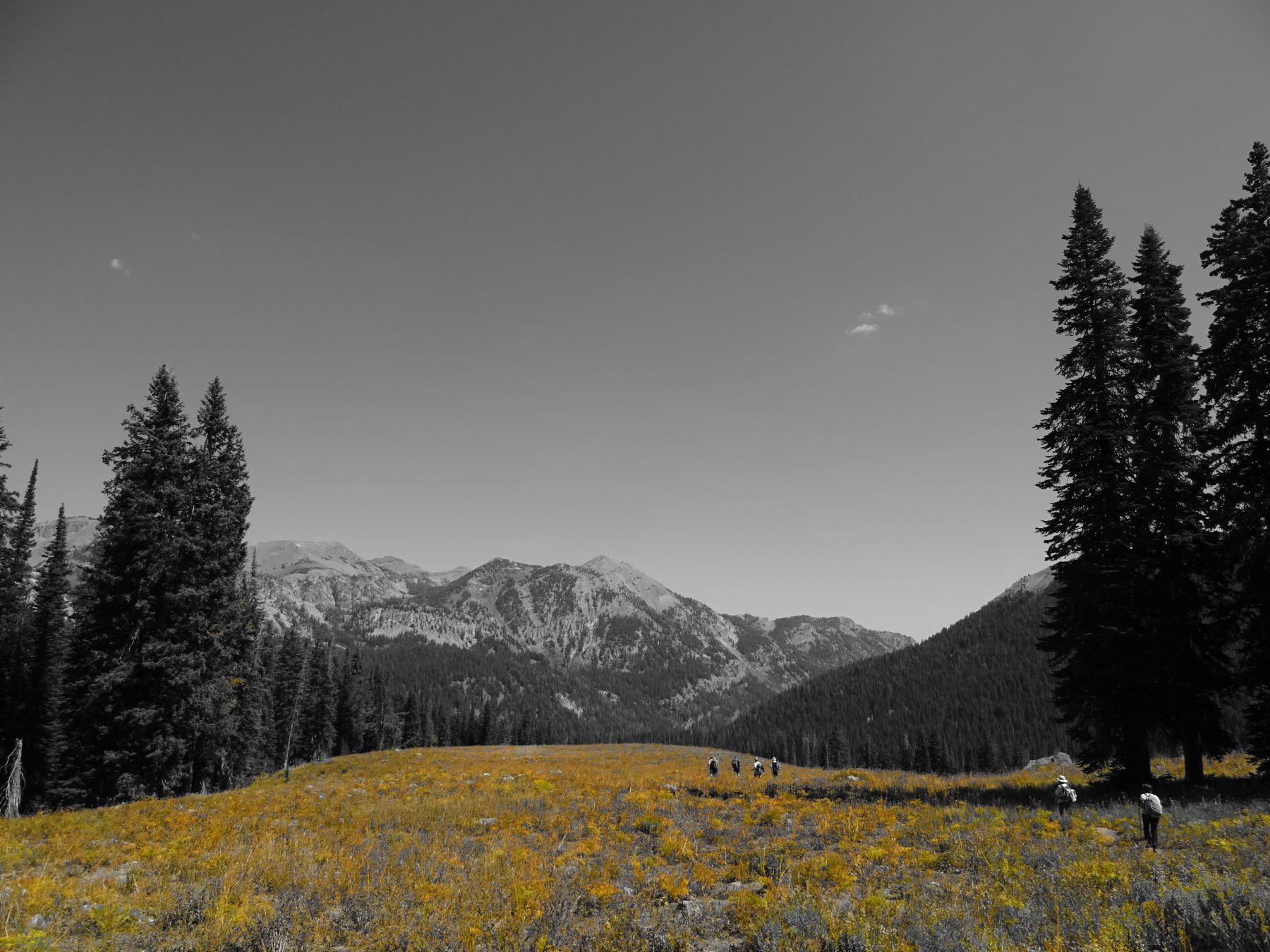 Trekking en los parques nacionales de Yellowstone, Glacier y Grand Teton. EEUU