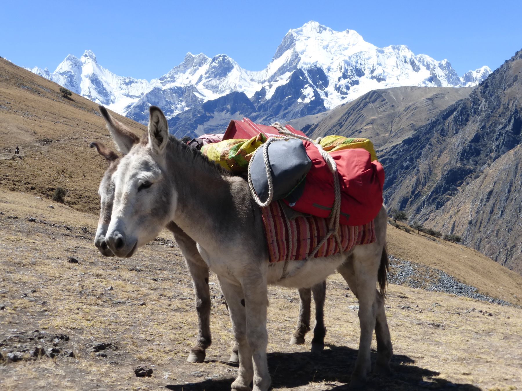 Trekking del Huayhuash. Perú.