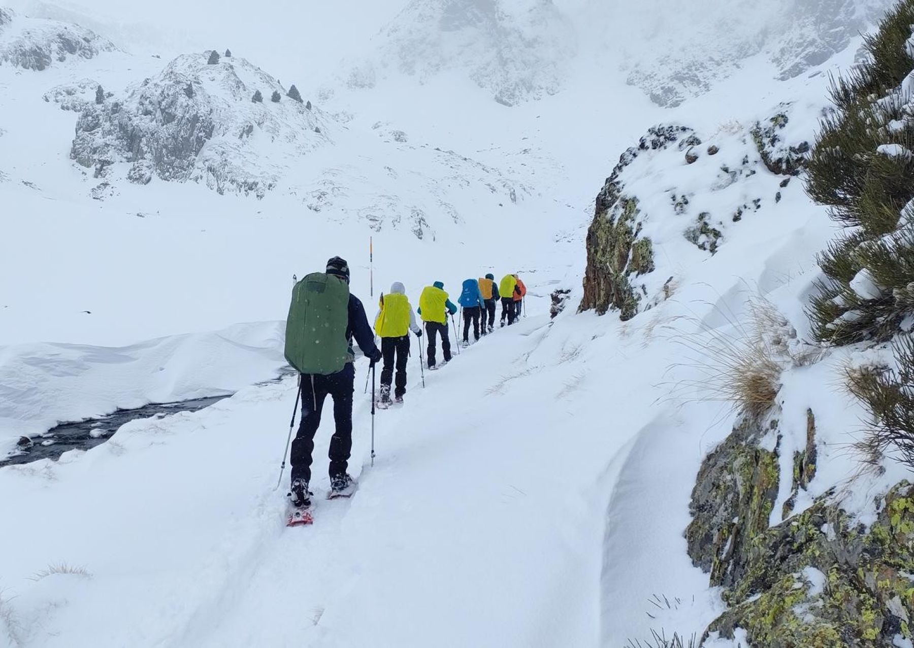Raquetas de nieve en el Parque Natural del Alto Pirineo