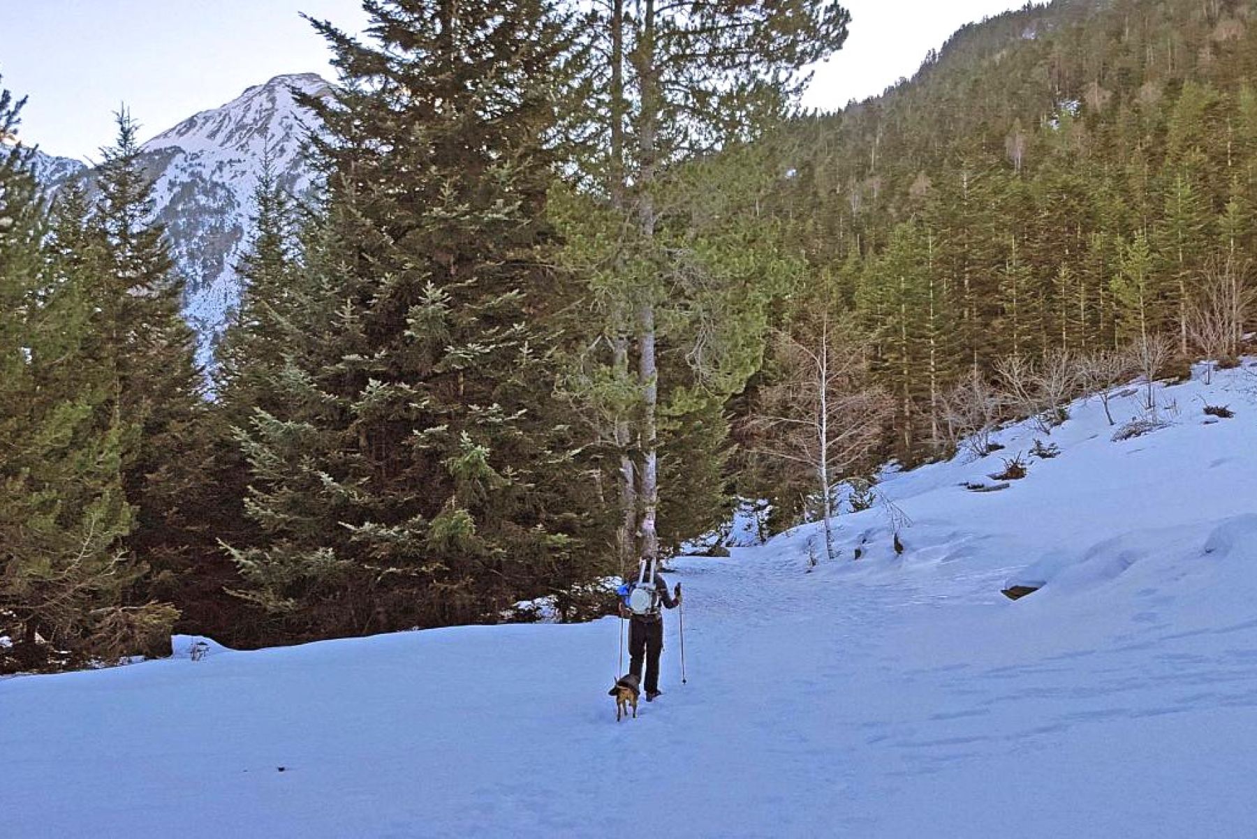Raquetas de nieve en el Parque Natural del Alto Pirineo
