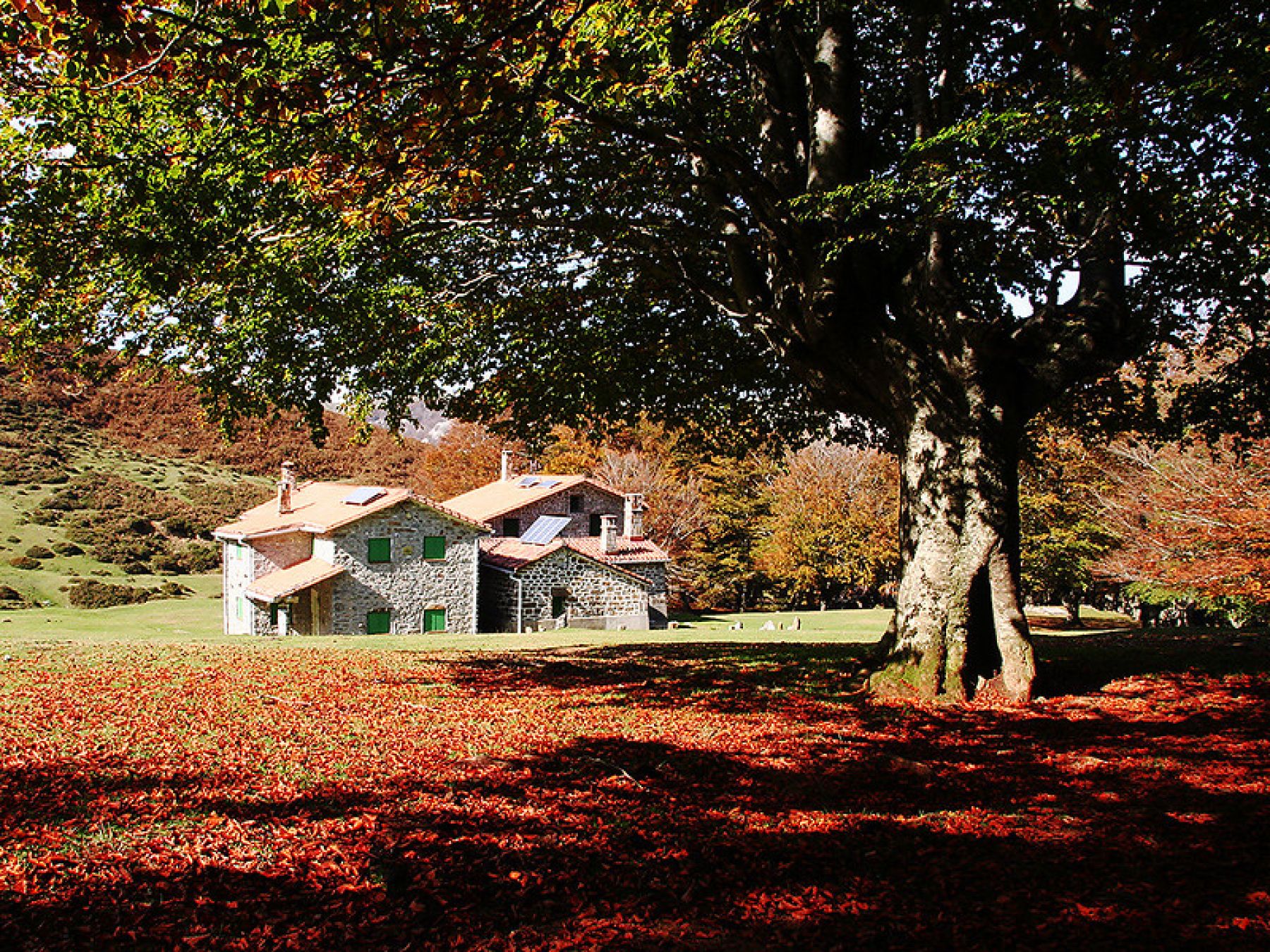 Montes de Burgos y Peña Gorbea