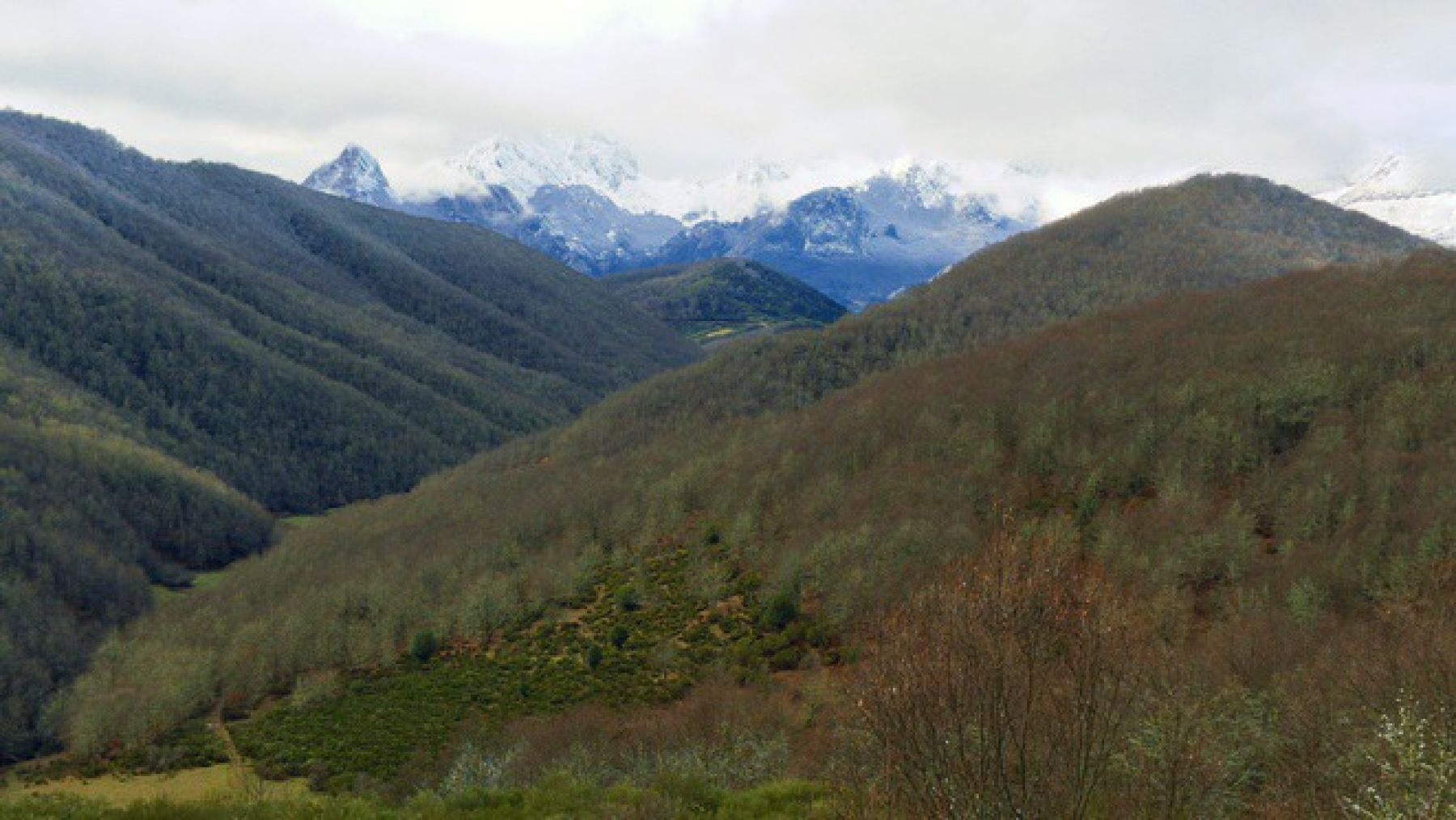 Ascensiones en la Montaña de Riaño. Cordillera Cantábrica