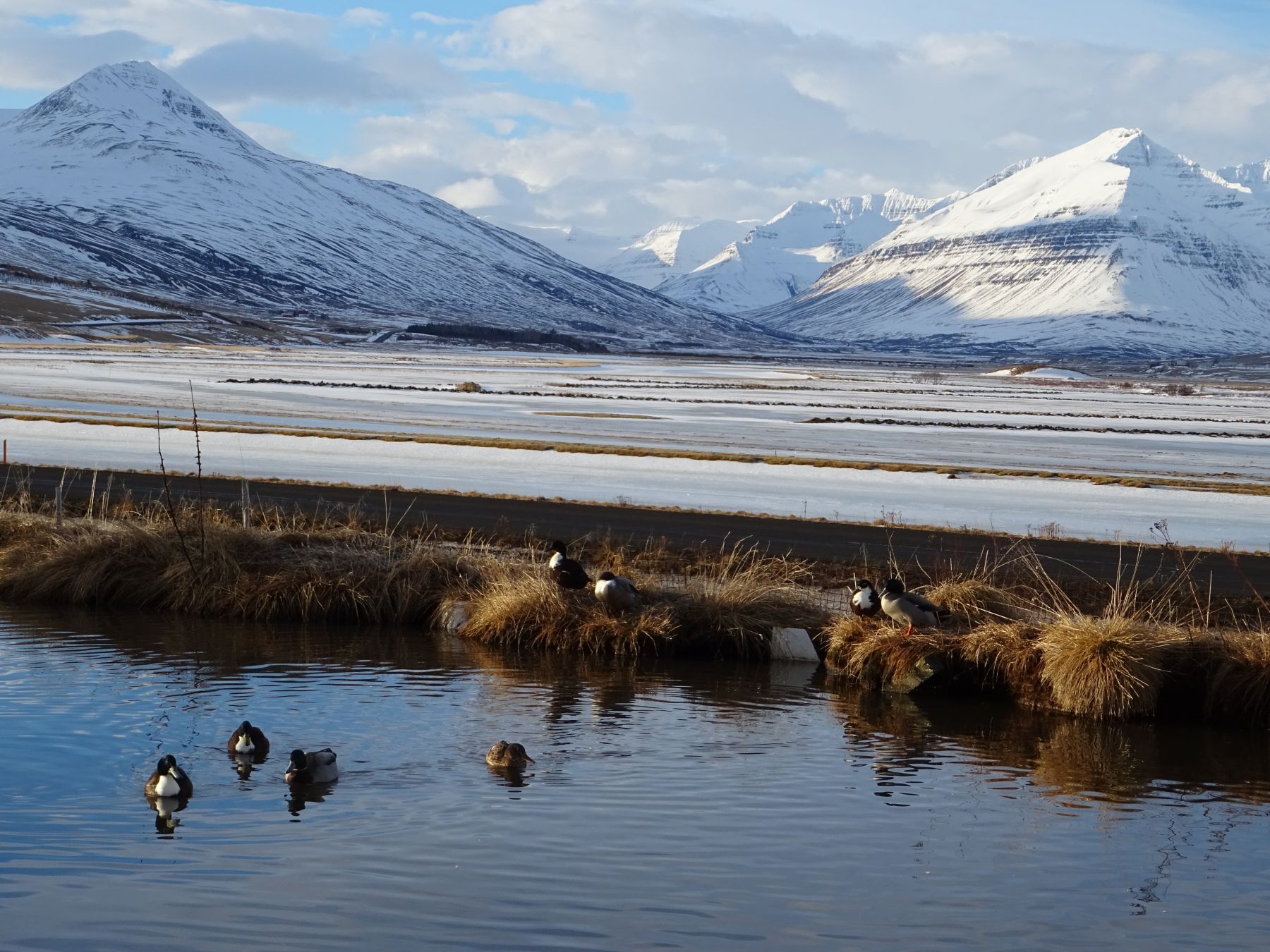 Islandia, esquí de montaña en medio del océano atlántico