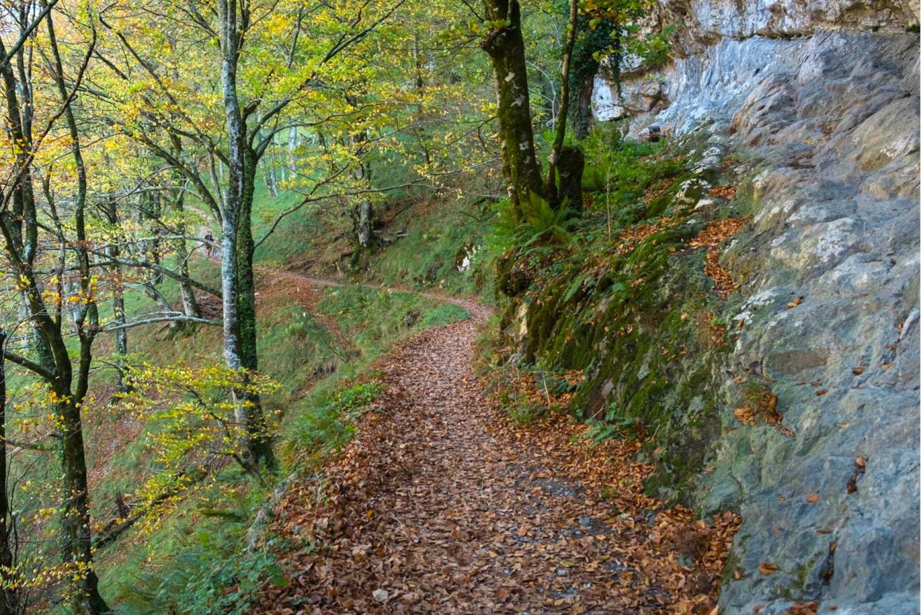 Senderismo en la Sierra de Aralar y Urbasa. País Vasco y Navarra
