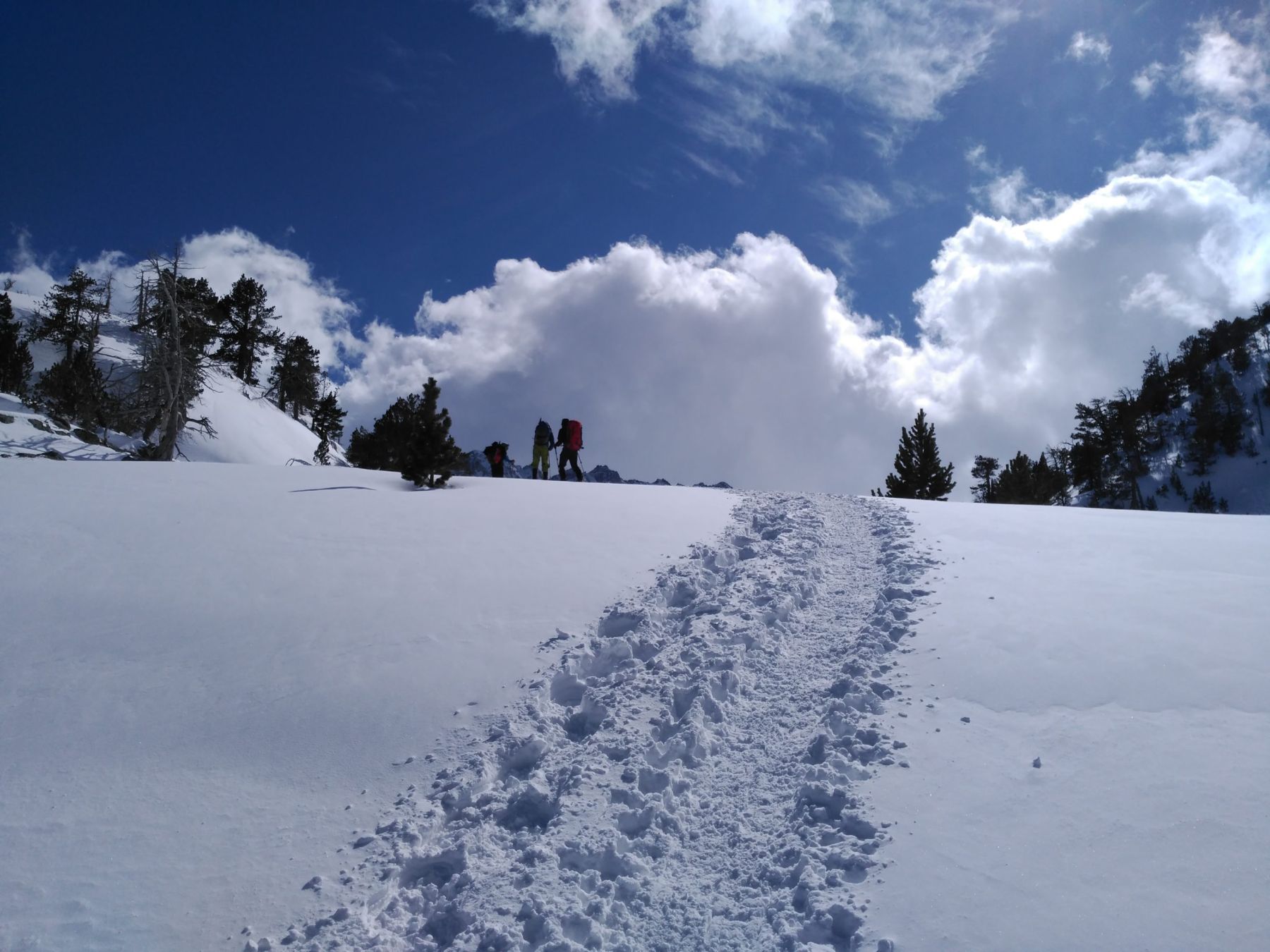 Fin de semana con raquetas de nieve en el Vall d´Arán. Pirineo catalán.