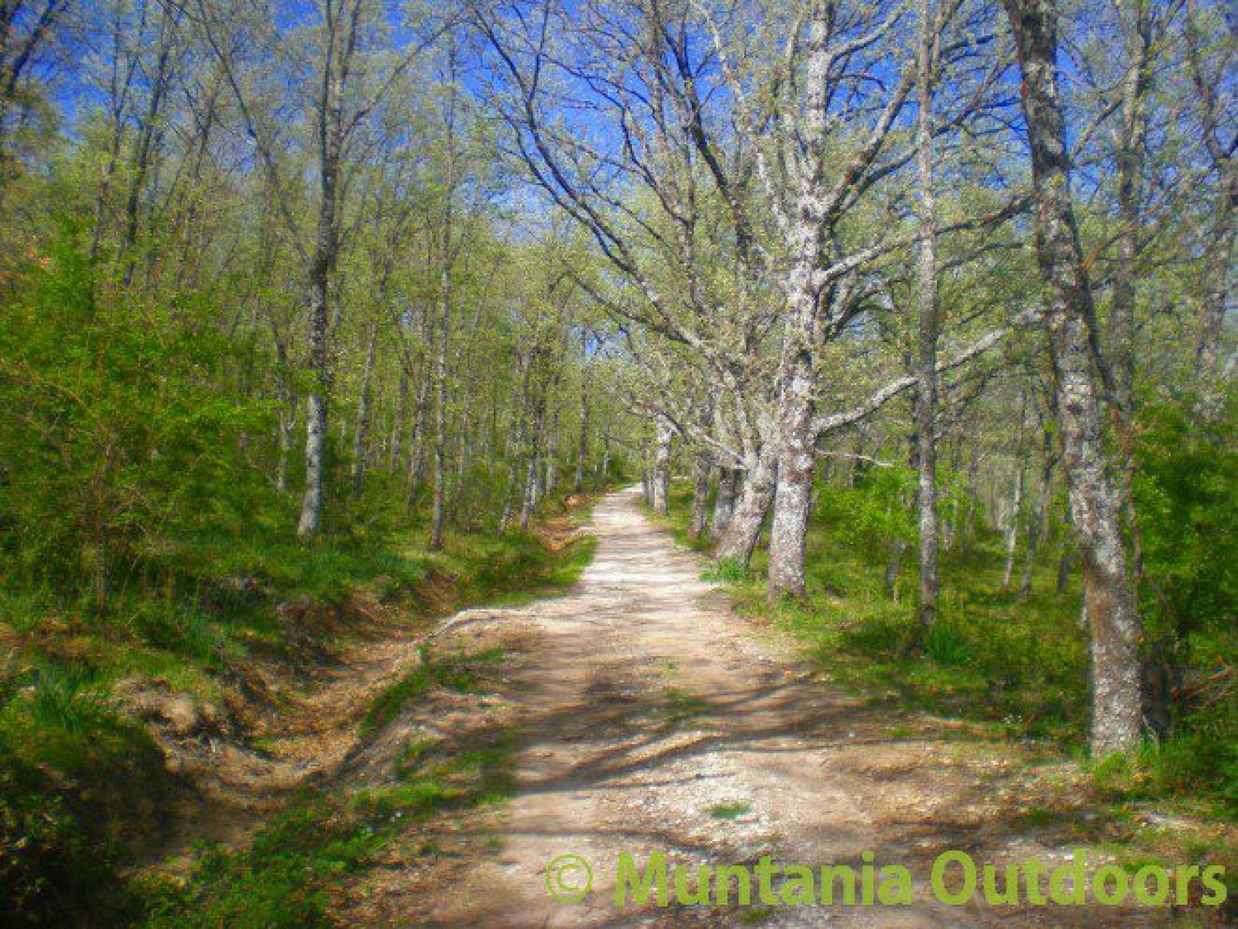 Sierra del Rincón: descubrir parajes insólitos a golpe de pedal