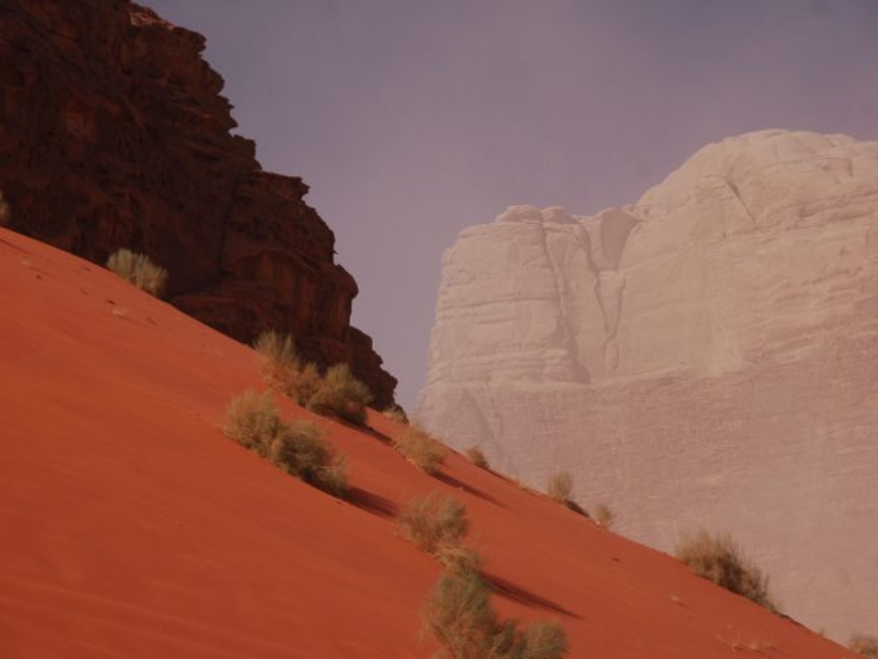 Jordania: Petra, el desierto de Wadi Rum y el Mar Muerto