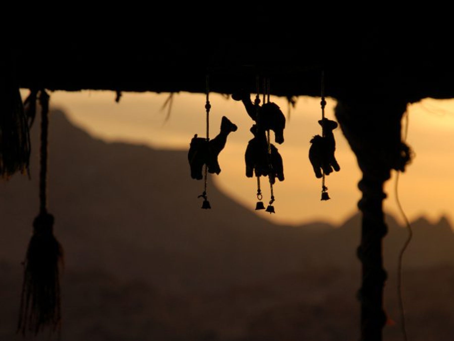 Jordania: Petra, el desierto de Wadi Rum y el Mar Muerto
