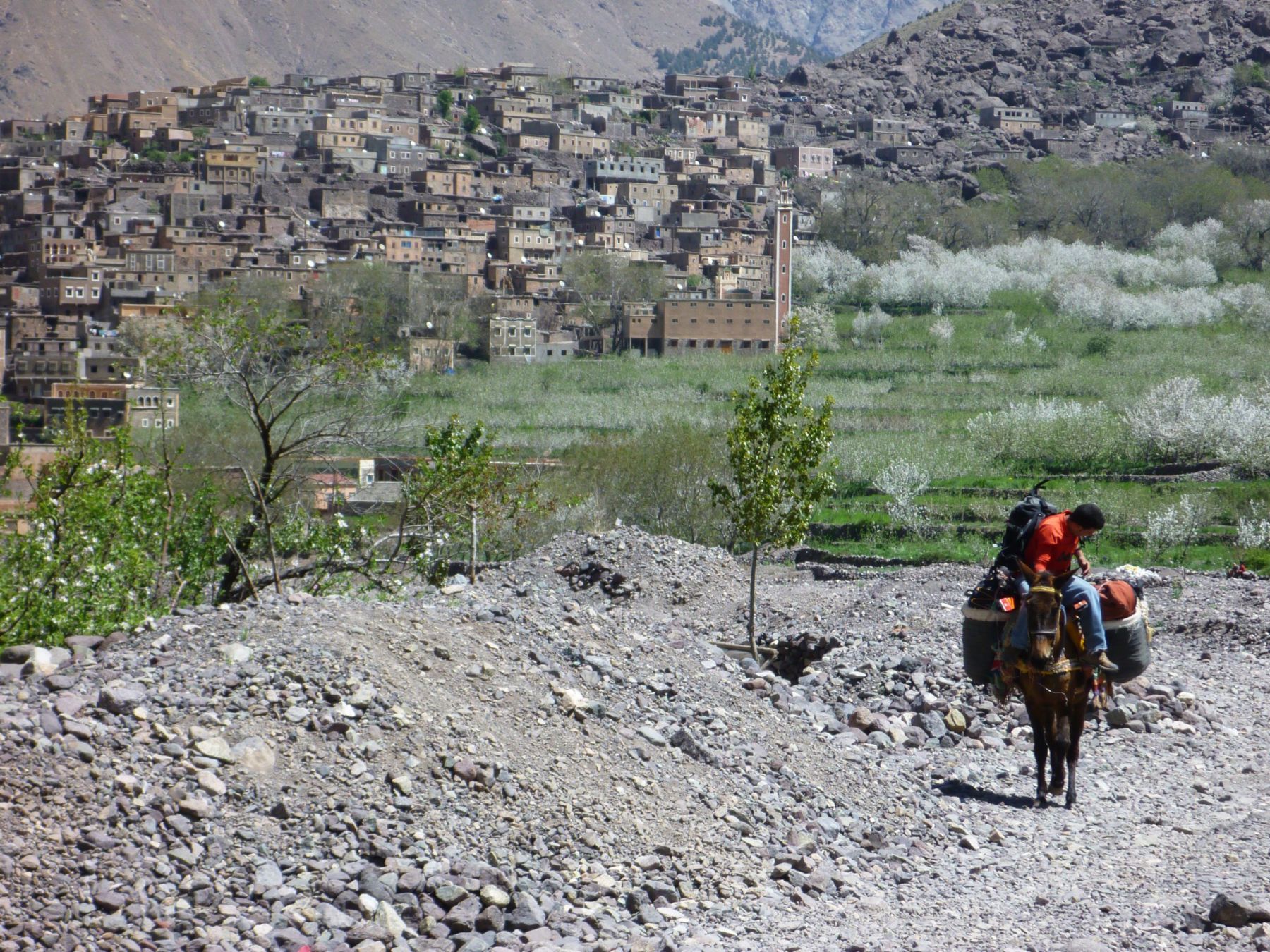 Esquí de montaña en Marruecos. Toubkal, Cordillera del Atlas