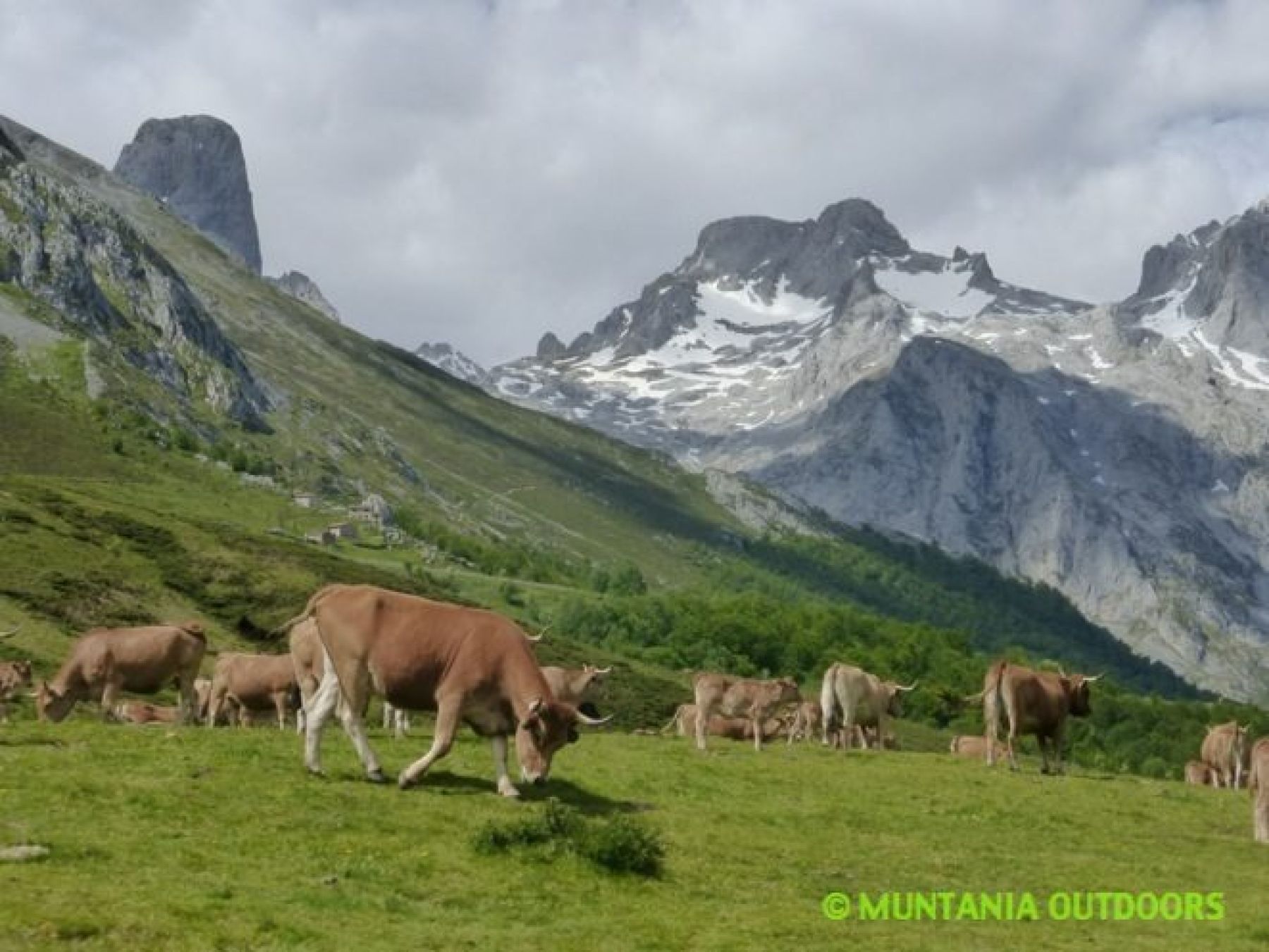 Clásicas escaladas y aristas en Picos de Europa. Naranjo de Bulnes, Peña Santa de Castilla y Cabrones-Torre Cerredo