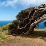 Senderismo en el Hierro. Islas Canarias