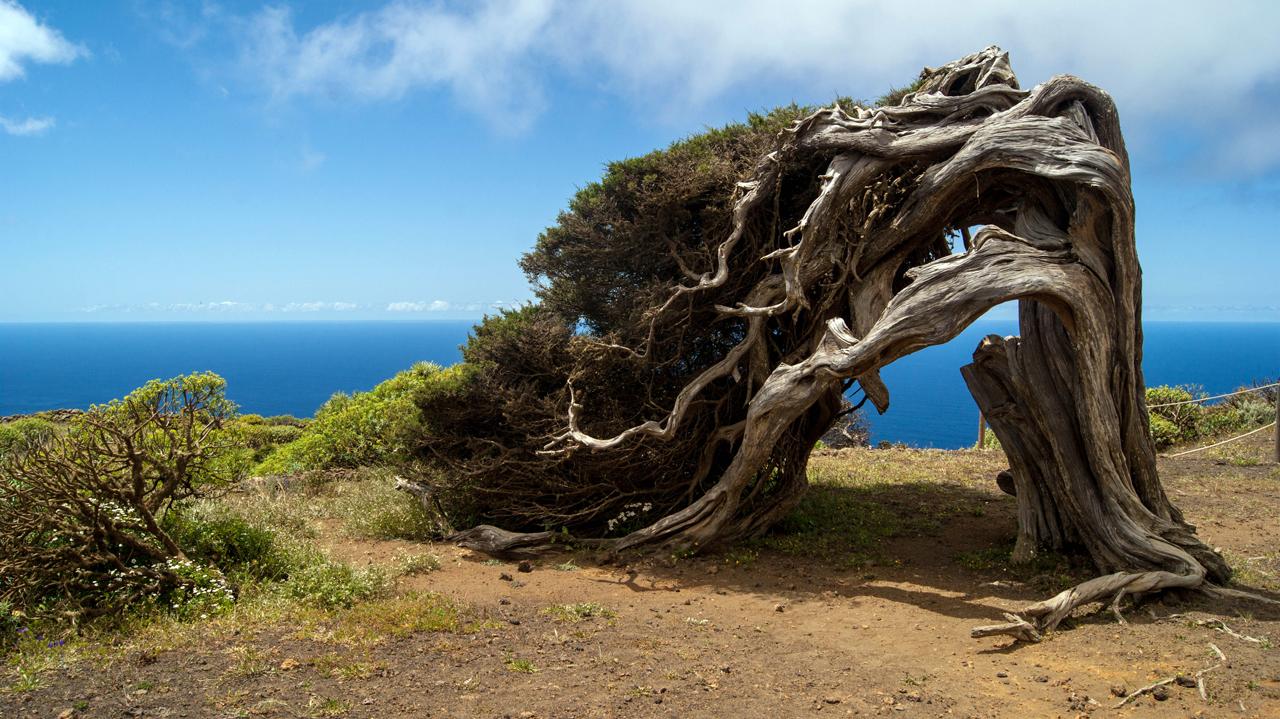 Senderismo en el Hierro. Islas Canarias