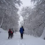 Valle de Liébana, Picos de Europa. Senderismo invernal con raquetas de nieve