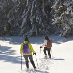 Jura. Excursiones con raquetas de nieve en el corazón de Europa