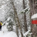 Ascensiones con raquetas de nieve en Tavascán