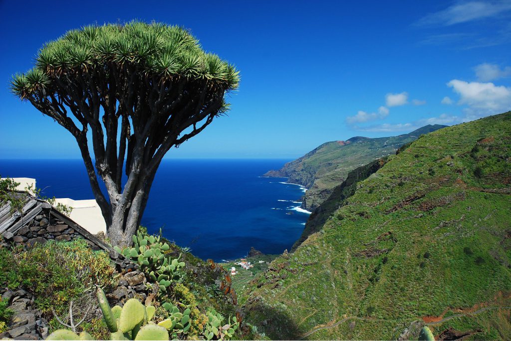 Viaje de senderismo en el Puente y mes de diciembre / Isla de la Palma